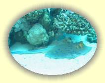 IMG_2007_05_28 14_04_50 * 2272 x 1704 * (508KB)